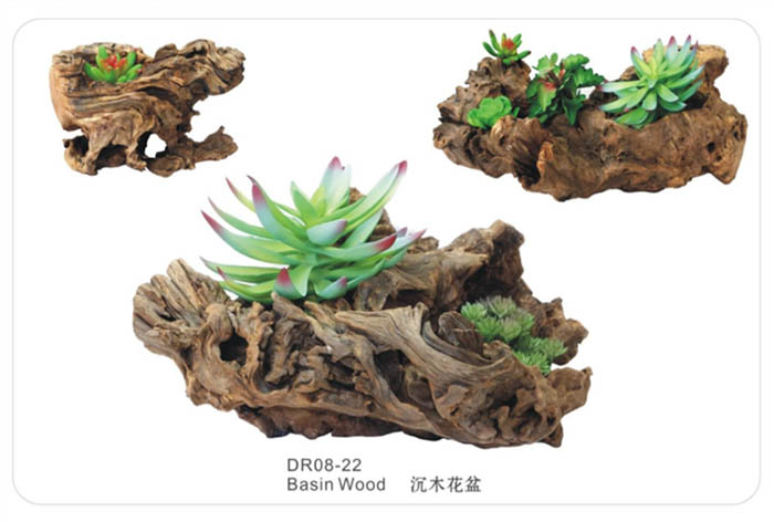 China Manufacturer Bonsai Wood Bonsai Driftwood