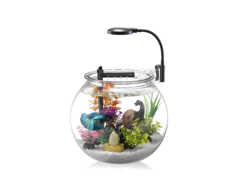 Modern Bar Small Fish Tank