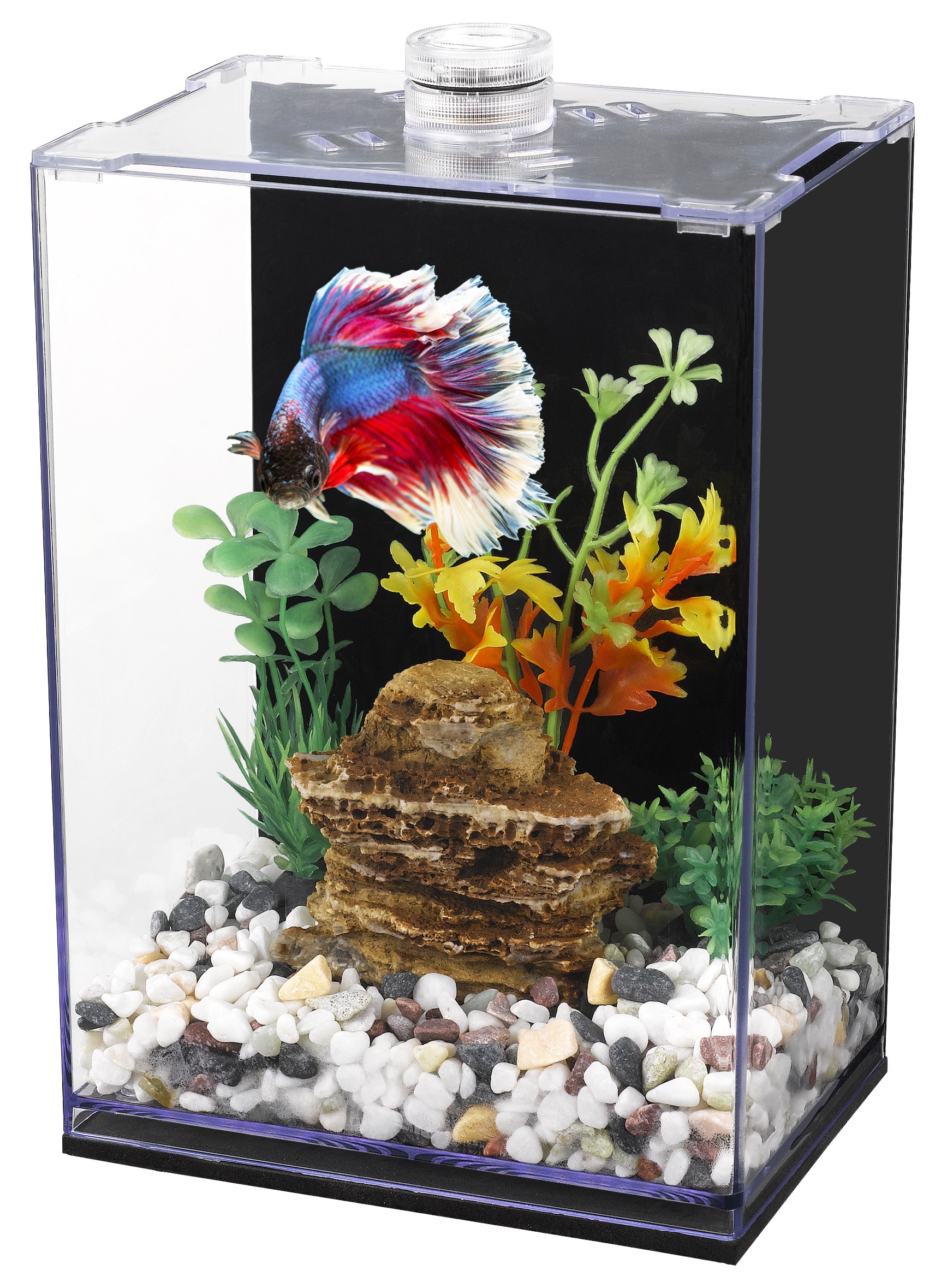 Betta Habitat Acrylic Fish Tank Eco Friendly and Durable Aquarium for Betta Fish