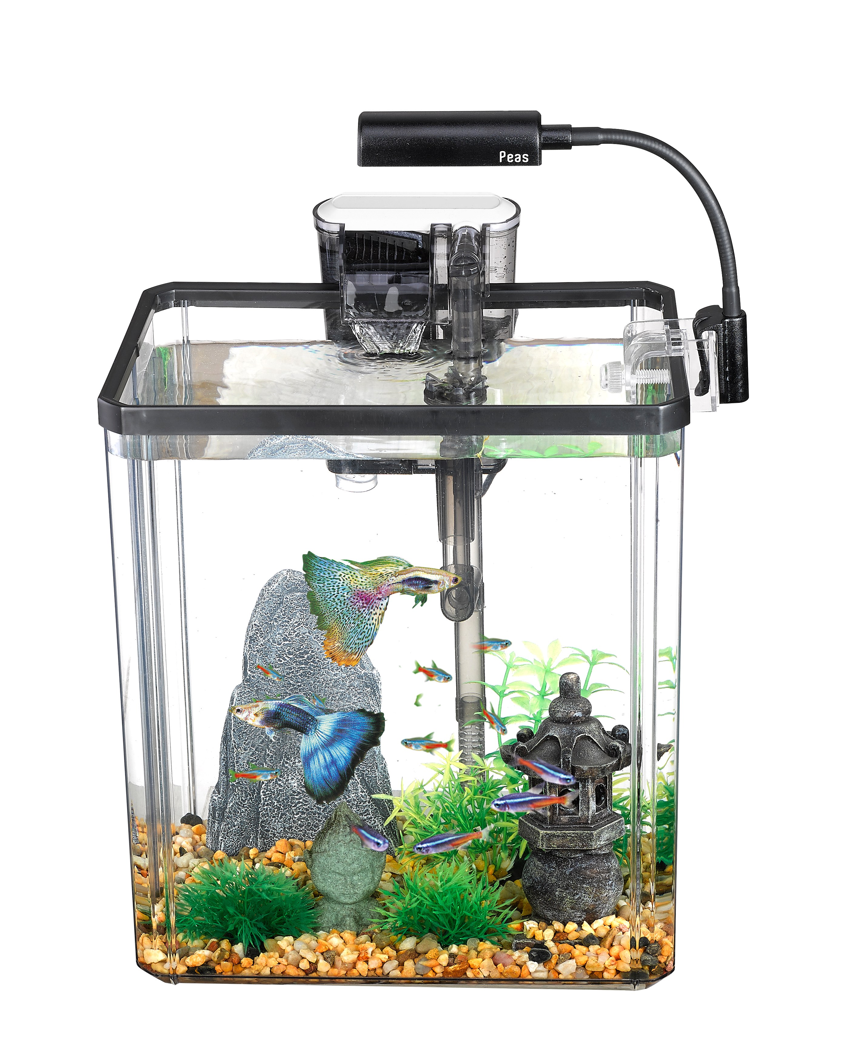 Ecological Fish Tank