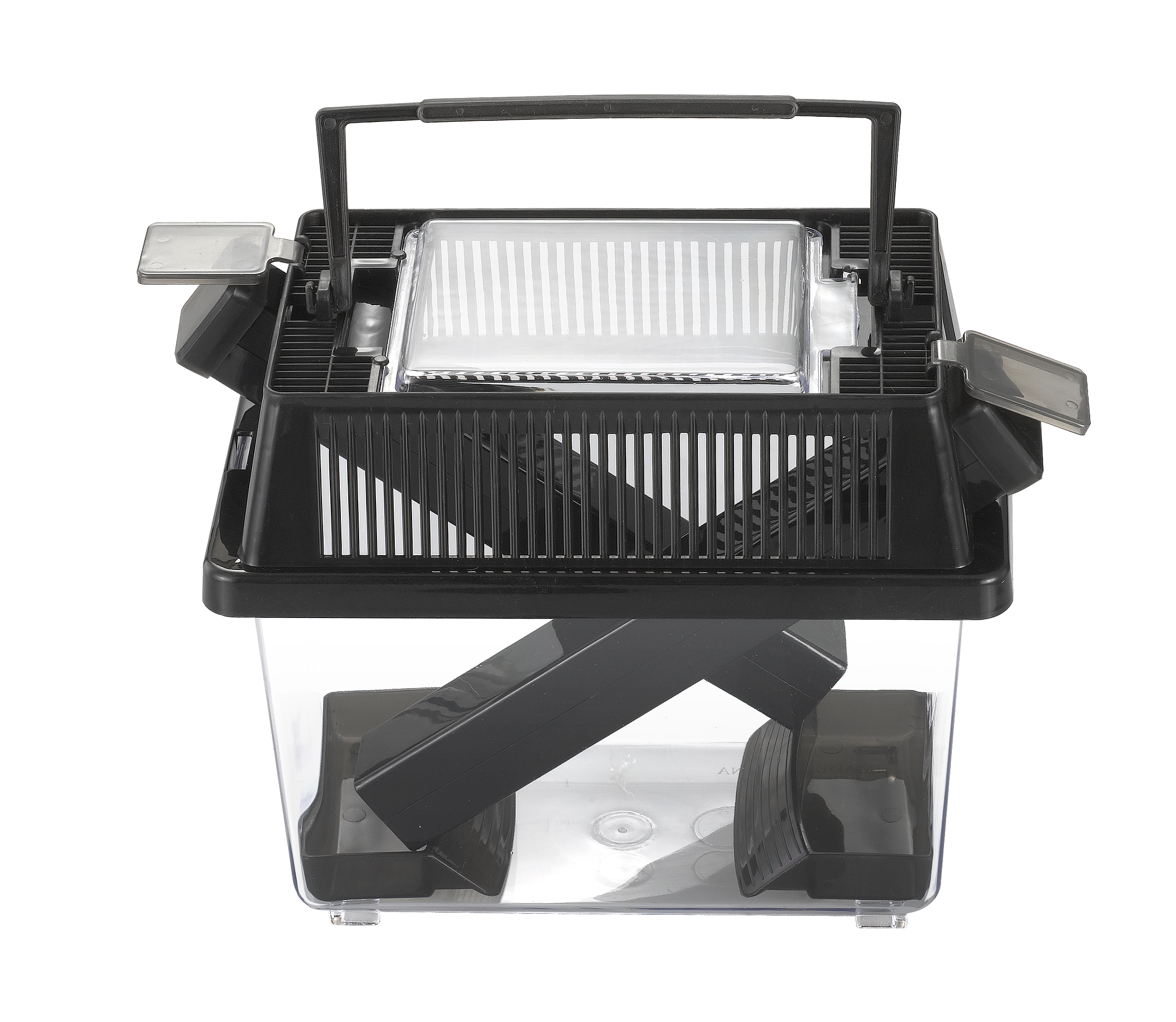 Live Cricket Insect Box