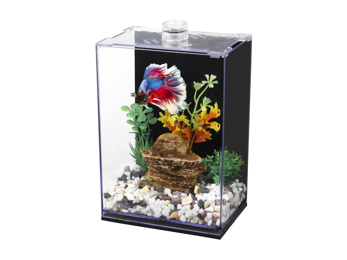 Betta Habitat Acrylic Fish Tank Eco Friendly and Durable Aquarium for Betta Fish