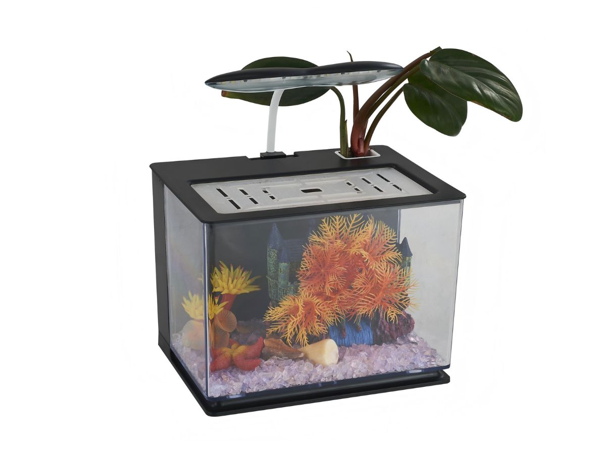 Large Betta Fish Tank with LED Light – Spacious Aquarium Habitat for Betta