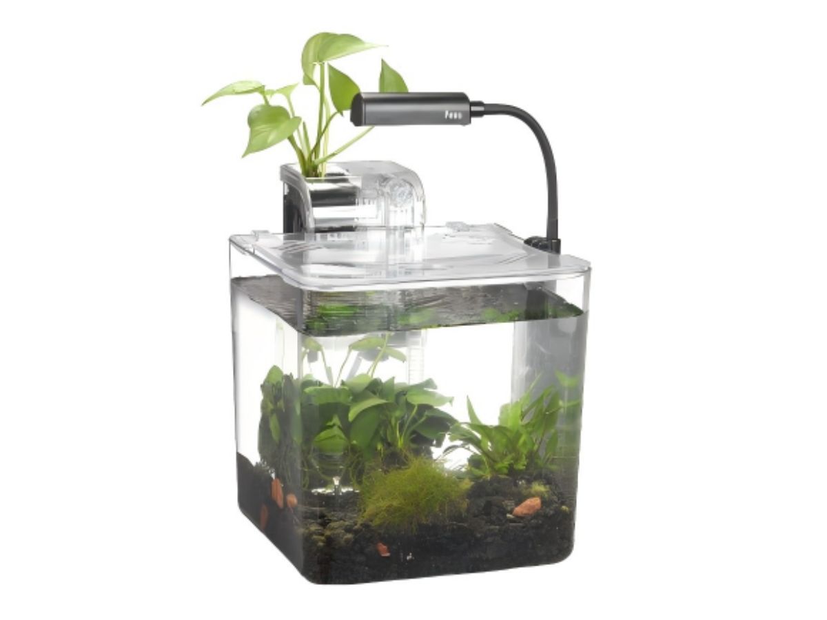 Modern bar large square cylinder