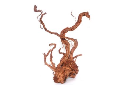 Aquarium Landscaping Twisted Roots Aquarium Landscaping Twisted Roots